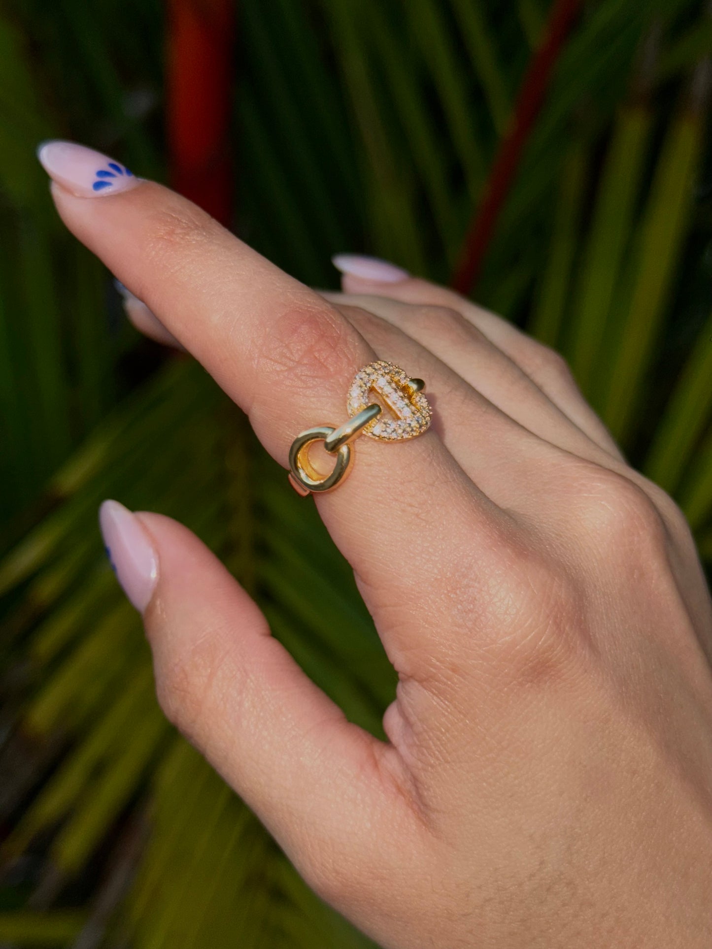 Aria rings