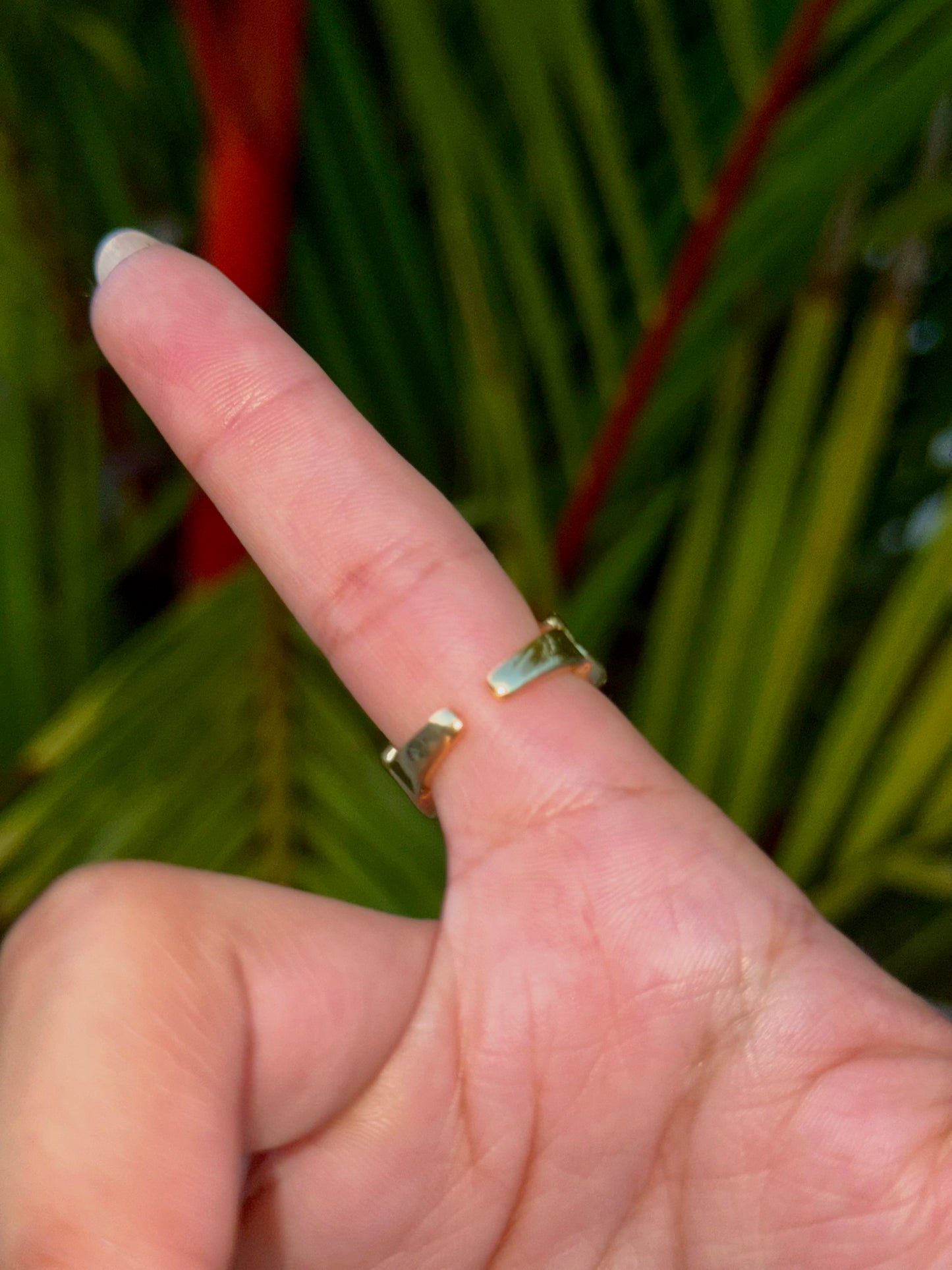 Aria rings