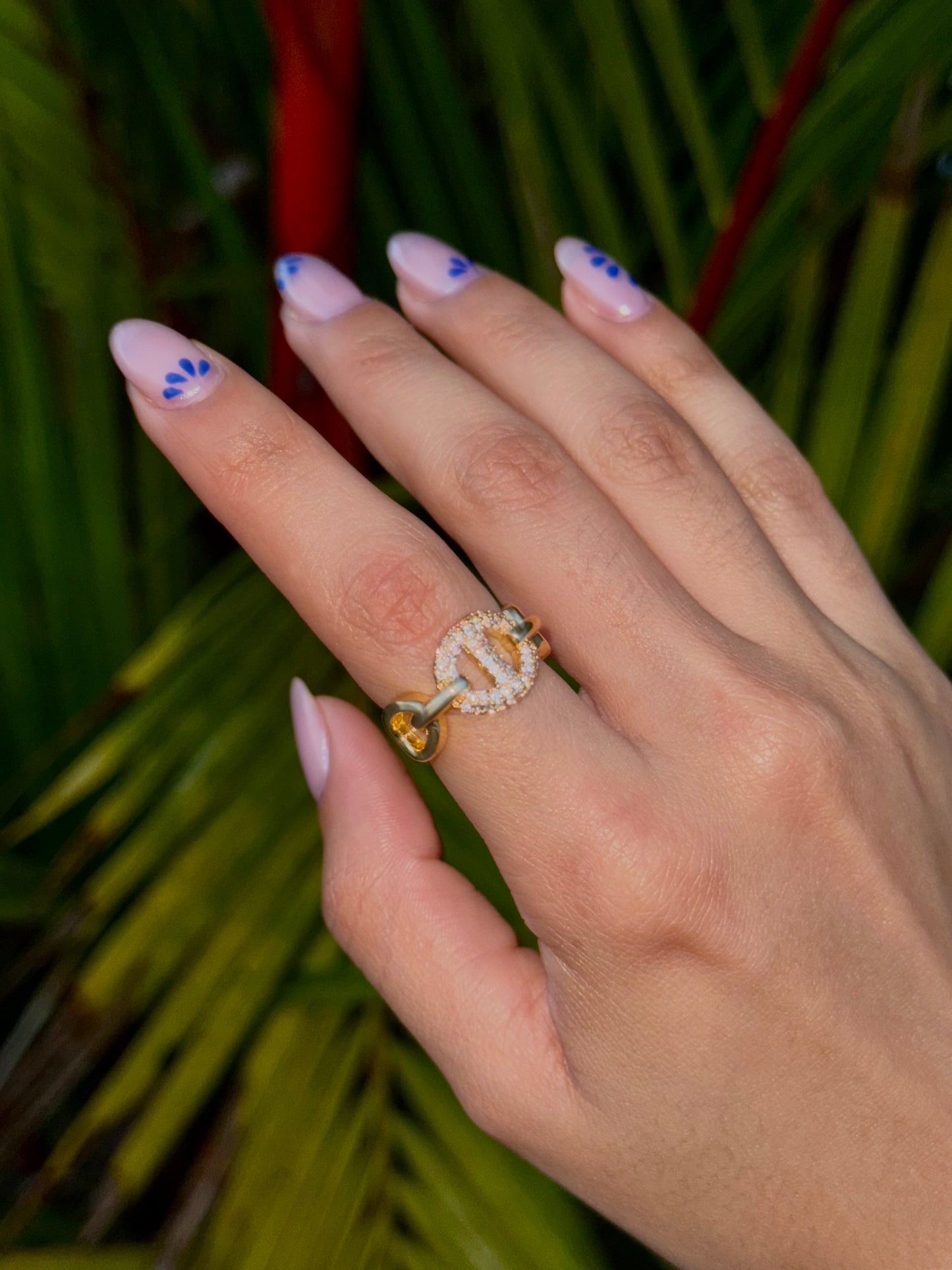 Aria rings